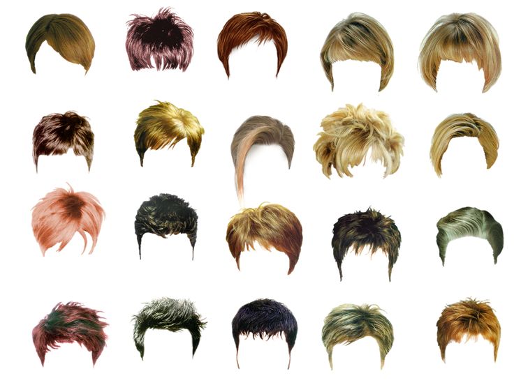 a bunch of different colored hair styles on a white background