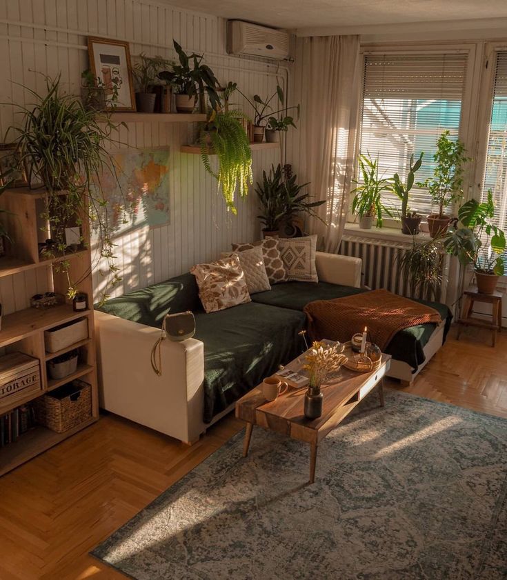 a living room filled with furniture and lots of plants on the windows sills