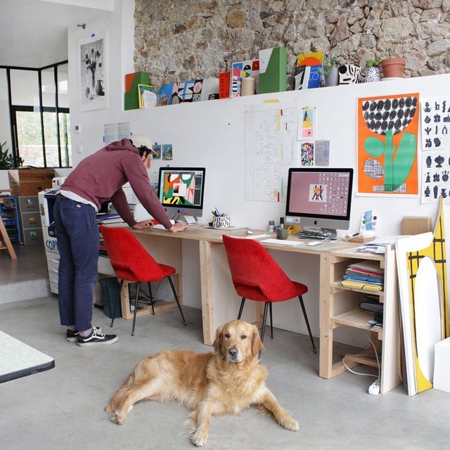 a dog laying on the floor in front of a desk with two monitors and a woman