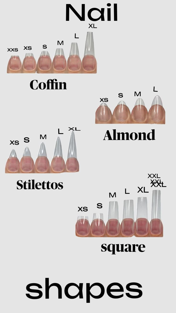 Form Of Nails, Shapes For Acrylic Nails, Type Of Nails Acrylic, Shape Of Acrylic Nails, Nail Sizes Shape Chart Short, Nail Shapes And Lengths Chart, Different Nail Sizes, Nails Normal Size, Almond Nail Sizes