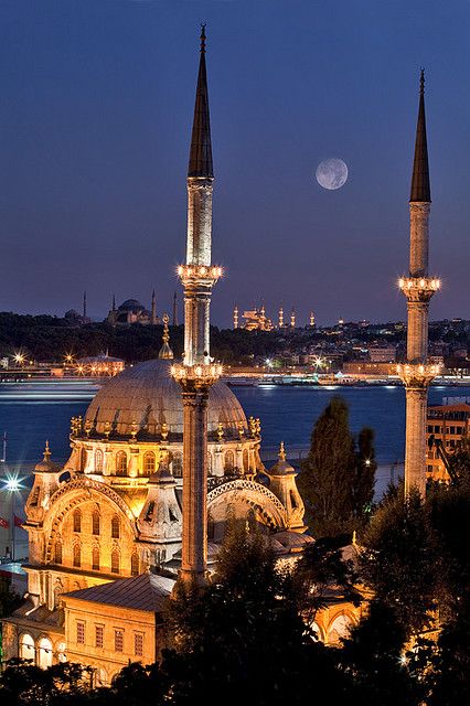 the blue mosque is lit up at night