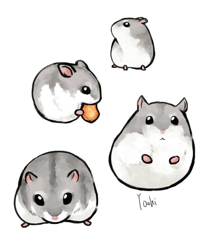 three hamsters are shown with one eating an apple and the other looking at something