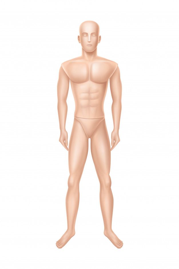 a male mannequin with no shirt standing in front of a white background,