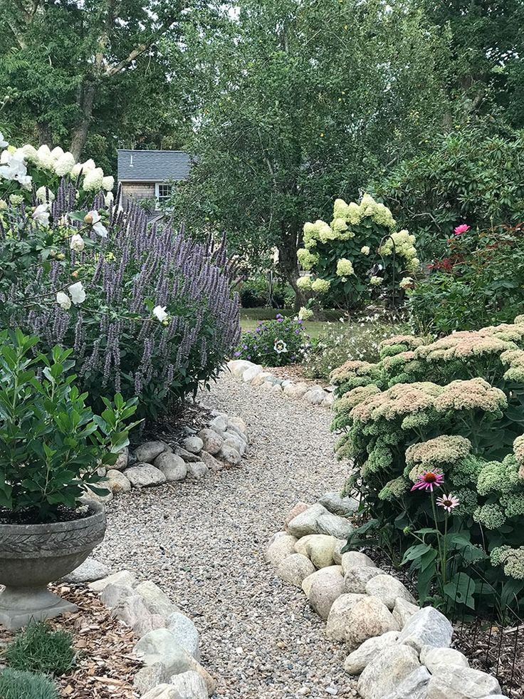 a gravel path surrounded by plants and rocks