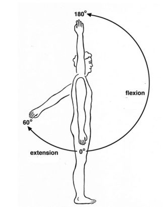 the diagram shows how to do yoga