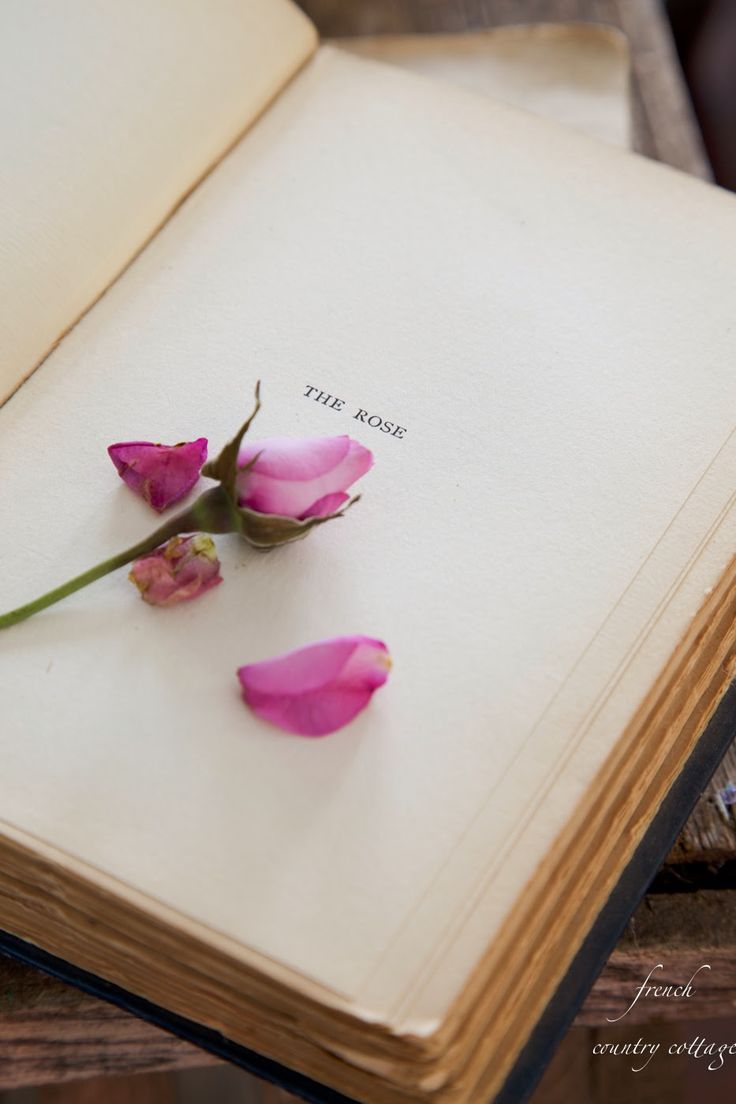 a book with some pink flowers on it