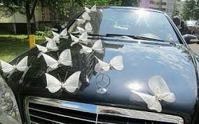 a car with butterflies on the hood