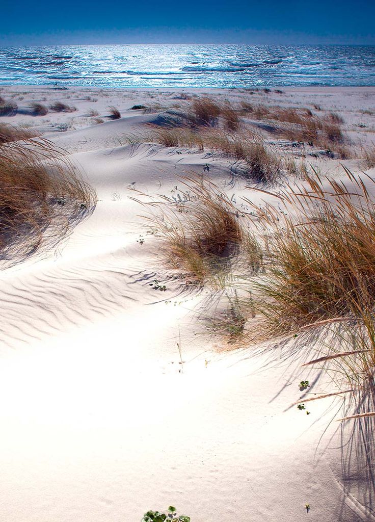 the beach is covered in sand and grass