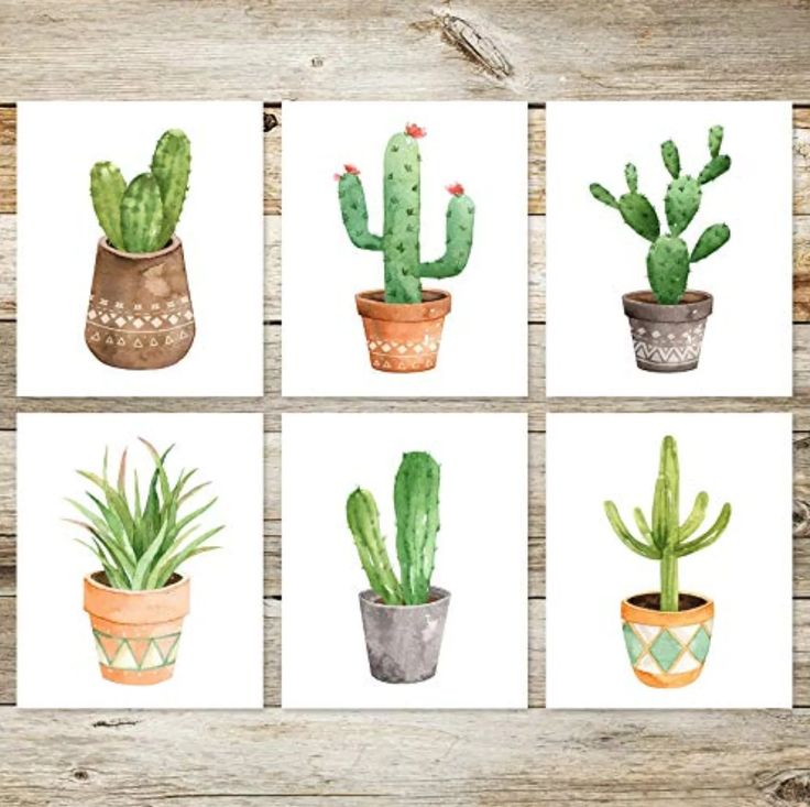 four watercolor paintings of cactuses in pots on a wooden background with text overlay