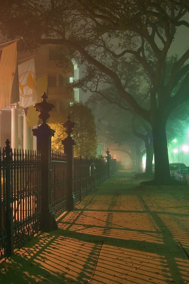 an iron fence and street light on a foggy night in the city with trees