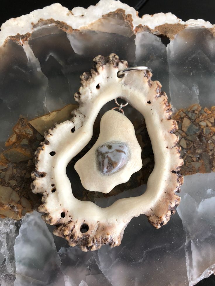 an agate shell is on top of some ice crystals and has a silver chain hanging from it