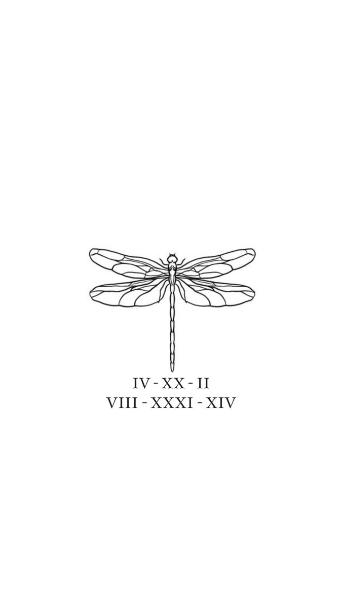 a black and white drawing of a dragonfly with the words vix xxxivi on it