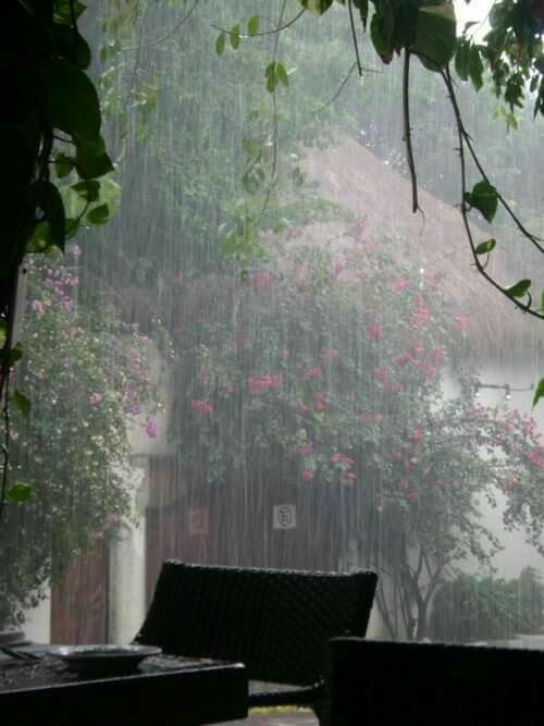 two chairs sitting in front of a window covered with rain and pink flowers on the outside