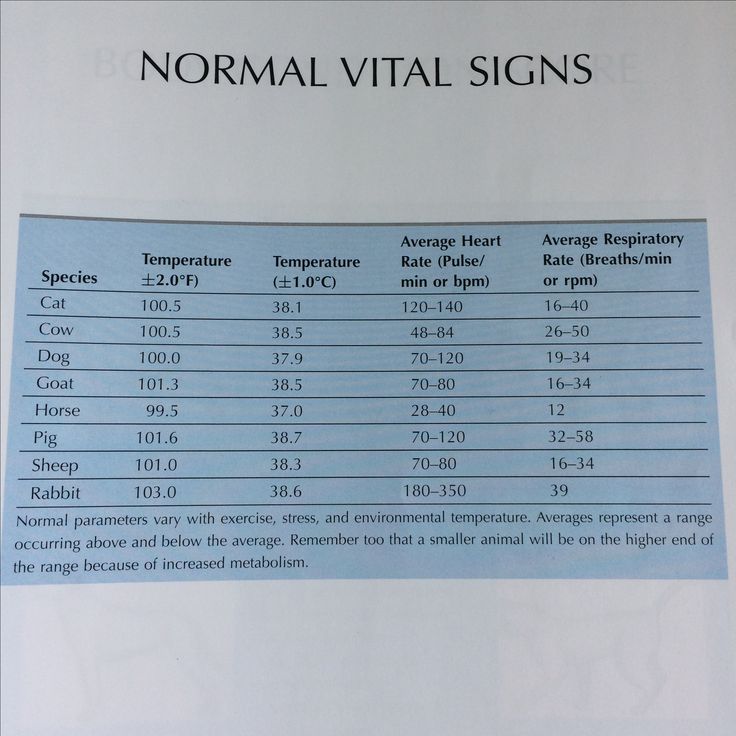 a sheet of paper that has information about normal vital signs on the side of it