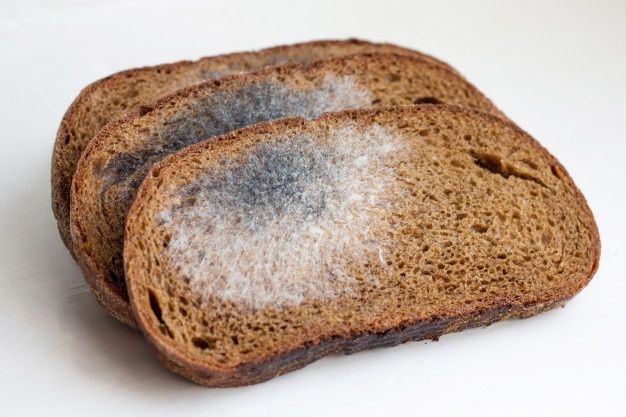 three slices of brown bread with white stuff on them