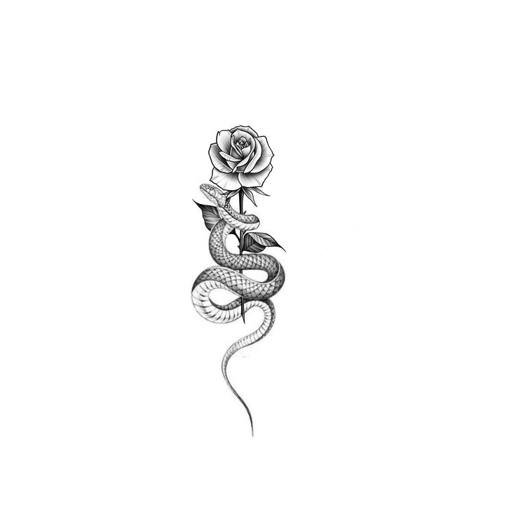 a snake and rose tattoo design