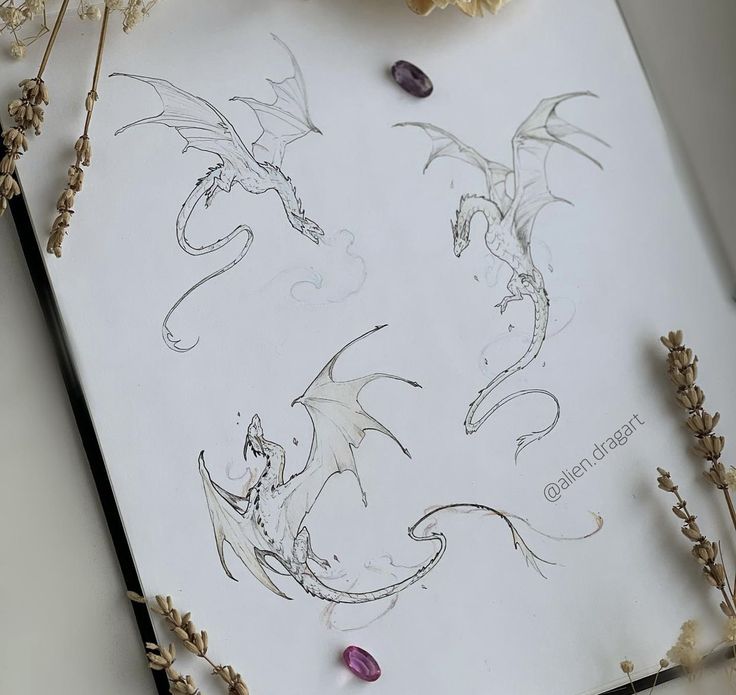 three drawings of dragon heads and flowers on a sheet of paper with dried lavenders