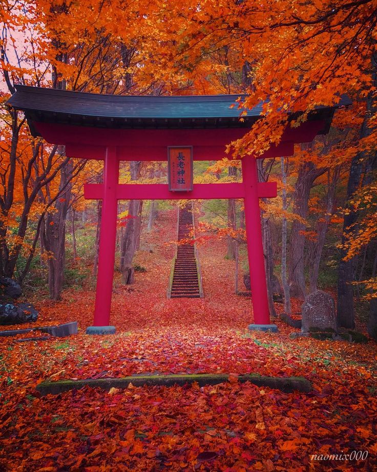 Did you know that one of the best times to visit Japan is in the autumn. Not only is the weather cool and comfortable; but the change of leaf colors to reds and yellows is unspeakably beautiful.⁣⁣ 📷 naomix000⁣⁣ Photos Of Japan, Miyagi Prefecture, Japan Guide, Trip To Japan, Miyagi, Visit Japan, Leaf Coloring, Short Trip, Greatest Adventure