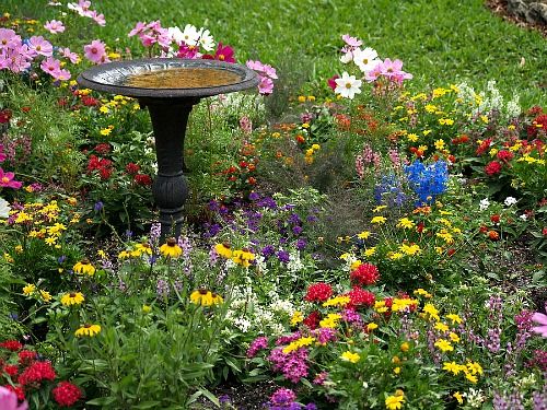 a bird bath surrounded by colorful flowers in a garden