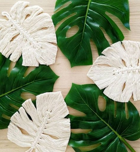 some white flowers and green leaves on a table