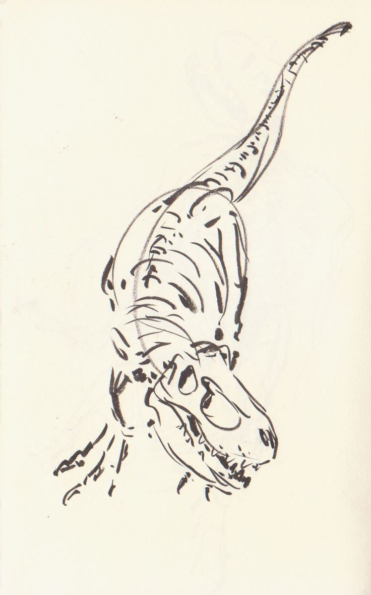 a black and white drawing of a lizard