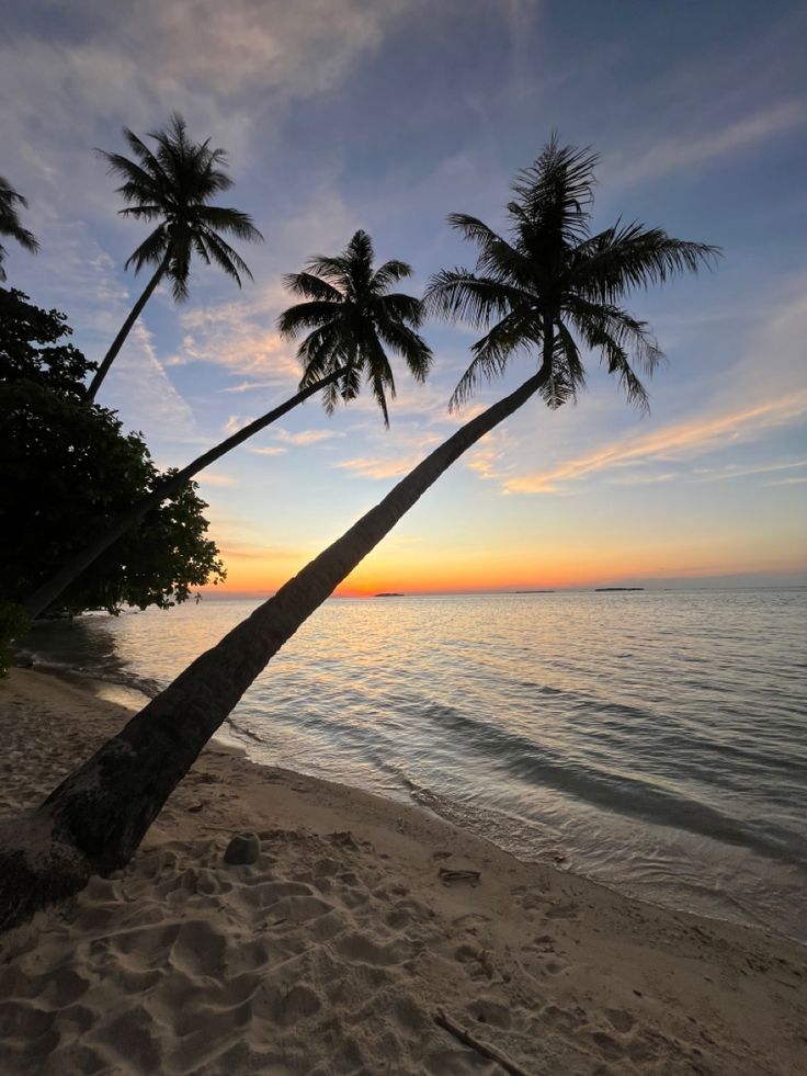 two palm trees are on the beach as the sun sets in the distance behind them