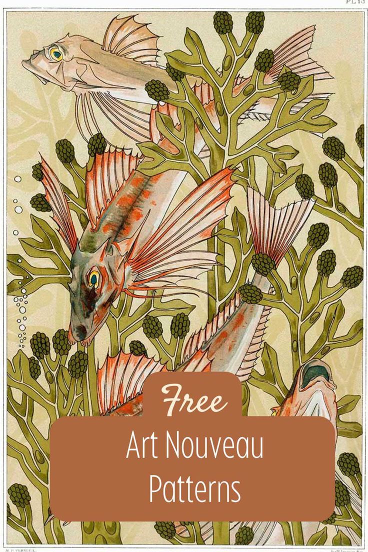 mullet fish amongst seaweed art nouveau style with text overlay Art Nouveau Botanical Illustrations, Art Nouveau Print, Art Nouveau Garden Illustration, Art Nouveau Plants Illustration, Art Nouveau Graphic Design, Art Nouveau Birds Illustration, Mullet Fish, Botanical Prints Free, Art Nouveau Underwater