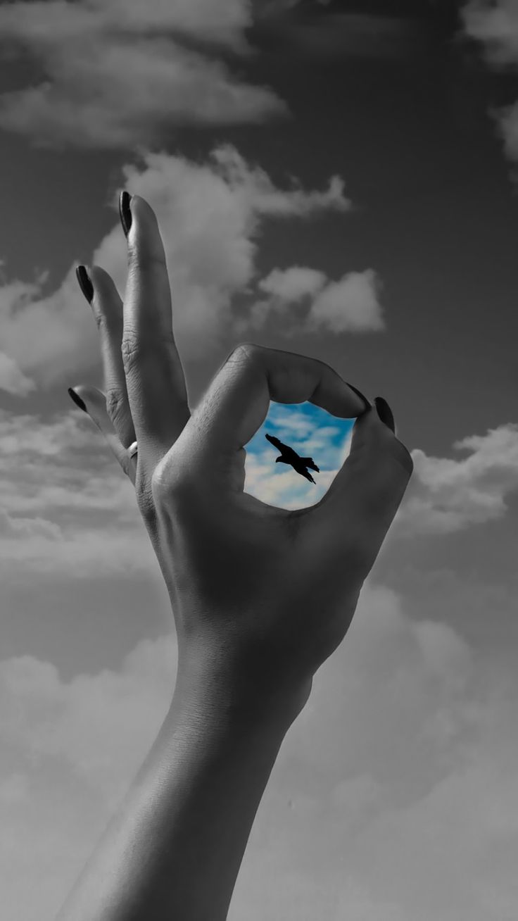 a person's hand holding an object in front of a cloudy sky with a bird on it