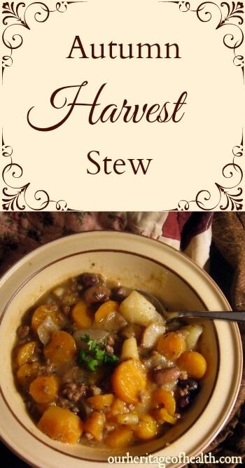 an autumn harvest stew with carrots and potatoes