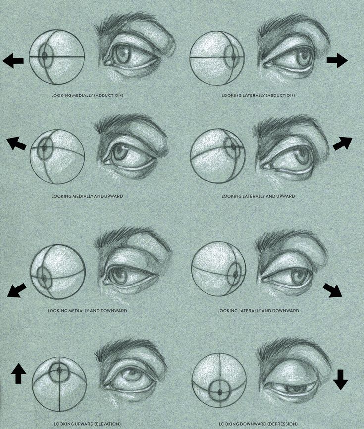 the steps to drawing an eye