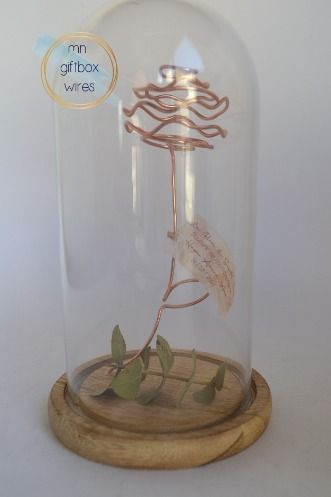 a glass clochet with a plant in it on a wooden base under a white background