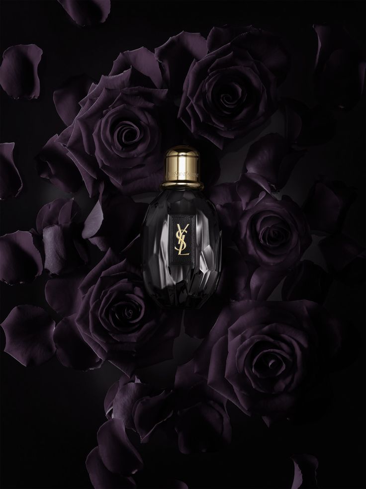 •(★)•вℓαcкєηє∂•(★)• Black Perfume, Perfume Photography, Perfume Ad, Cosmetics Photography, Still Life Photographers, Beautiful Perfume, Still Photography, Perfume Design, Beauty Shots