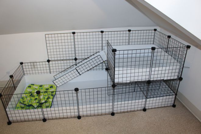 a room with several cages on the floor and one in the middle filled with fruit