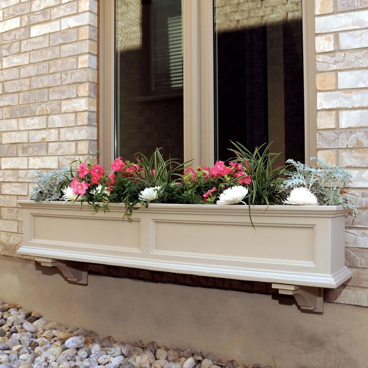 a window box with flowers in it on the side of a building