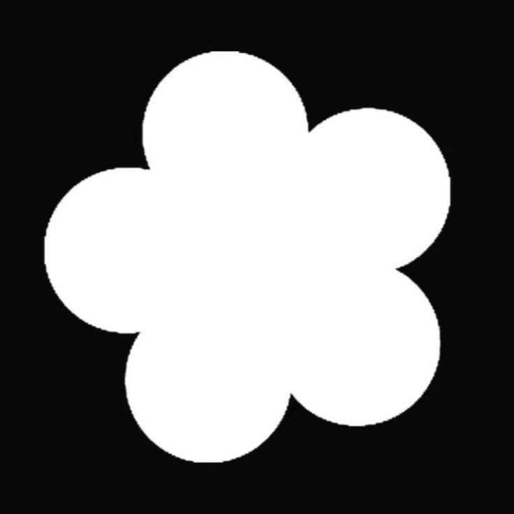 a white flower on a black background