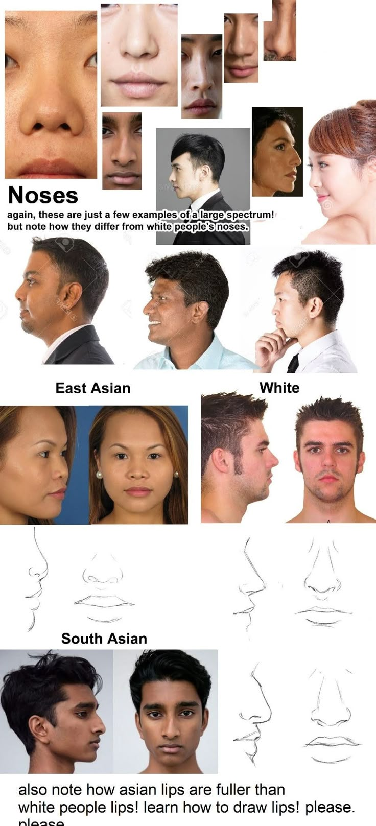 the different types of facial expressions are shown in this image, including nose and neck shapes