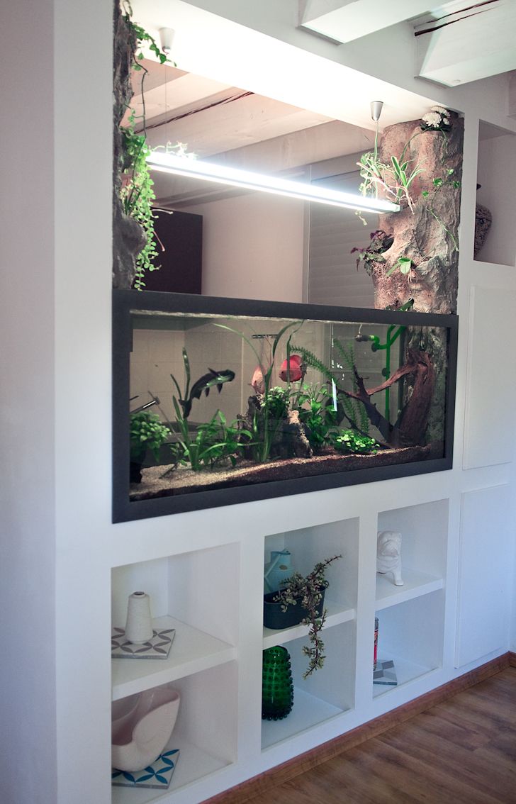 a fish tank with plants in it sitting on top of a shelf next to a wall