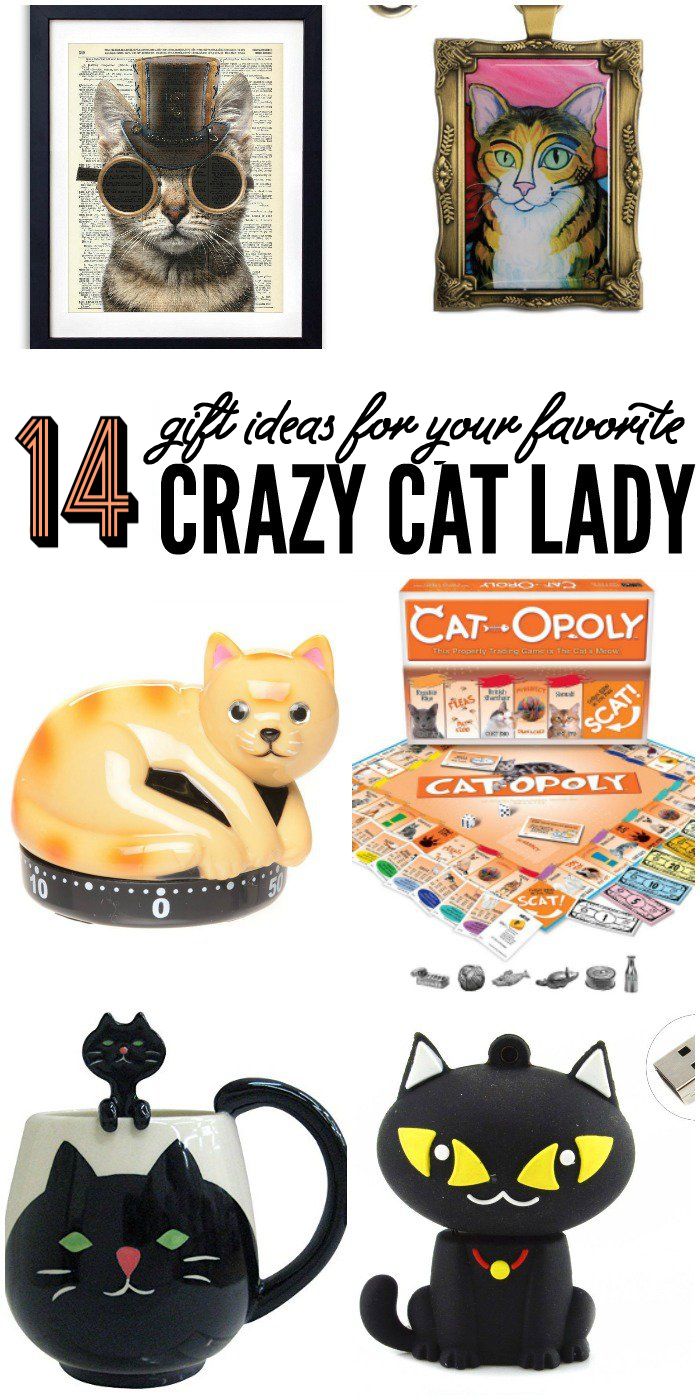 the four crazy cat lady items are featured in this post - it - yourself image