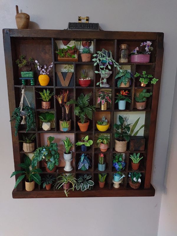 a wooden shelf filled with lots of potted plants