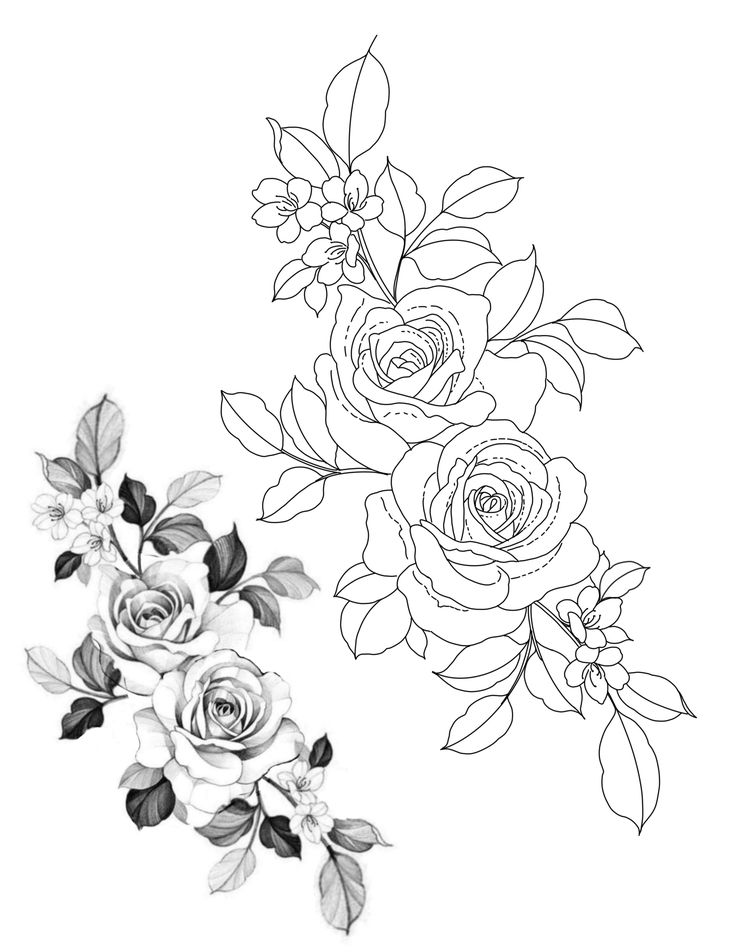 two roses with leaves are shown in black and white, one is drawn by hand