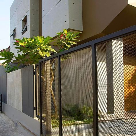 a plant is growing out of the top of a fenced in area next to a building