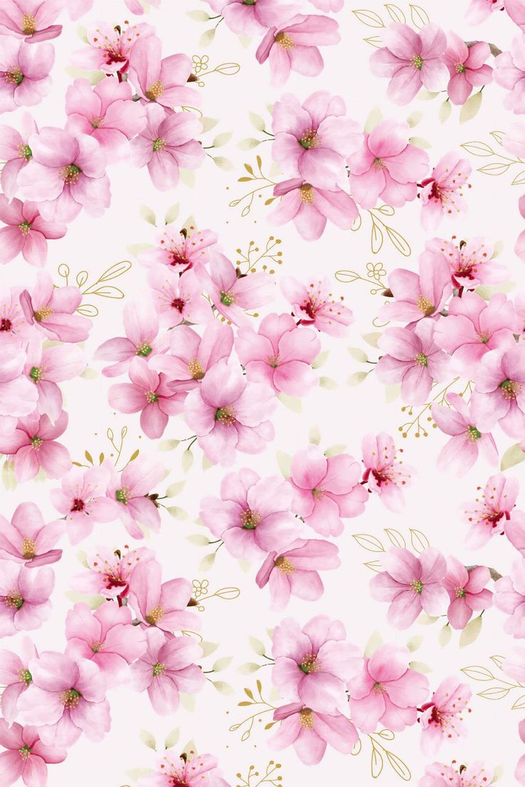 pink flowers on a white background