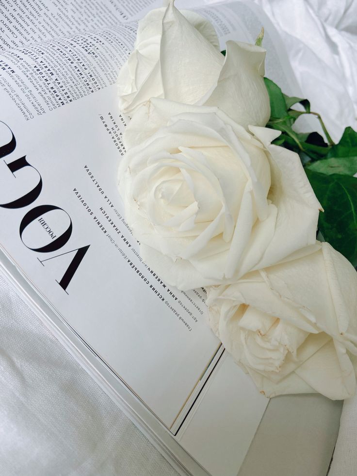 a white rose sitting on top of an open book