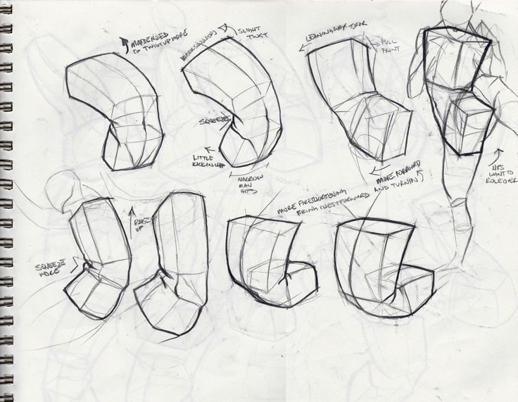 sketches of different shapes and sizes of the head, neck, and arm in various positions