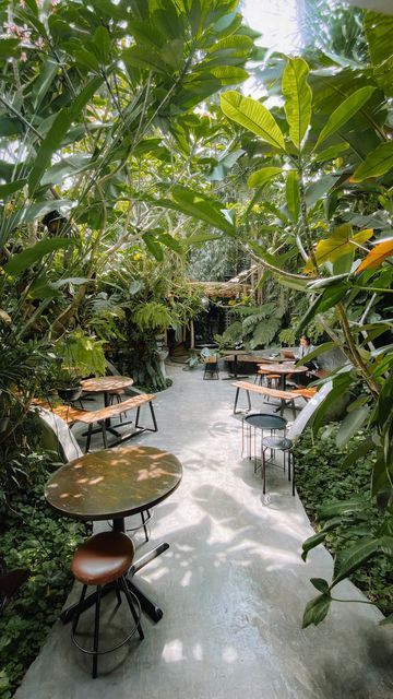 an indoor garden with tables and chairs surrounded by greenery