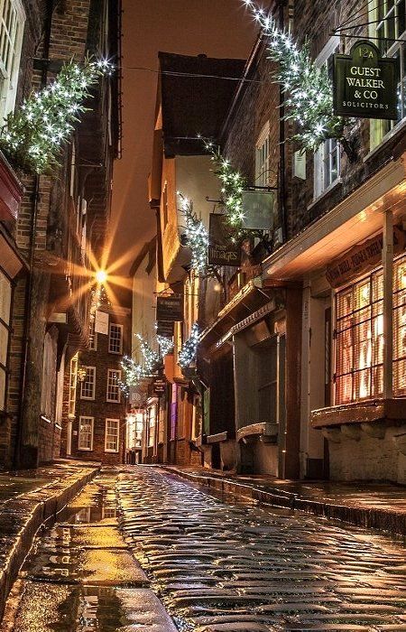 a cobblestone street at night with christmas lights