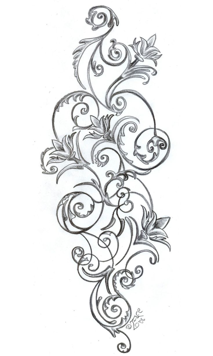 a drawing of an ornate vine with leaves and swirls on the bottom half of it