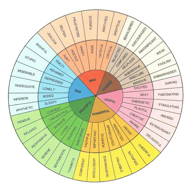 the feeling wheel is shown in this image