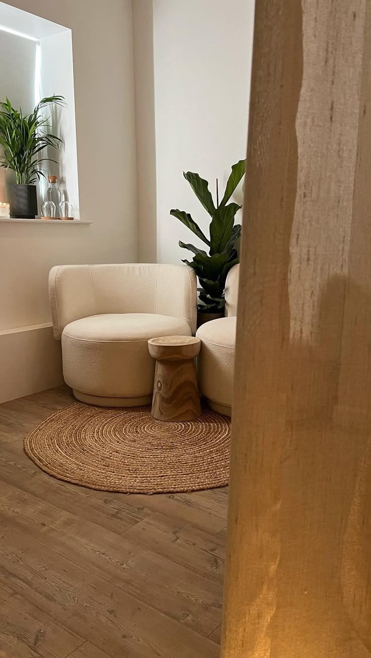 a living room filled with furniture and a potted plant next to a window on top of a hard wood floor