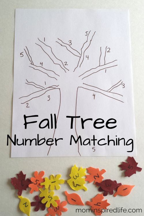 fall tree number matching activity for preschool